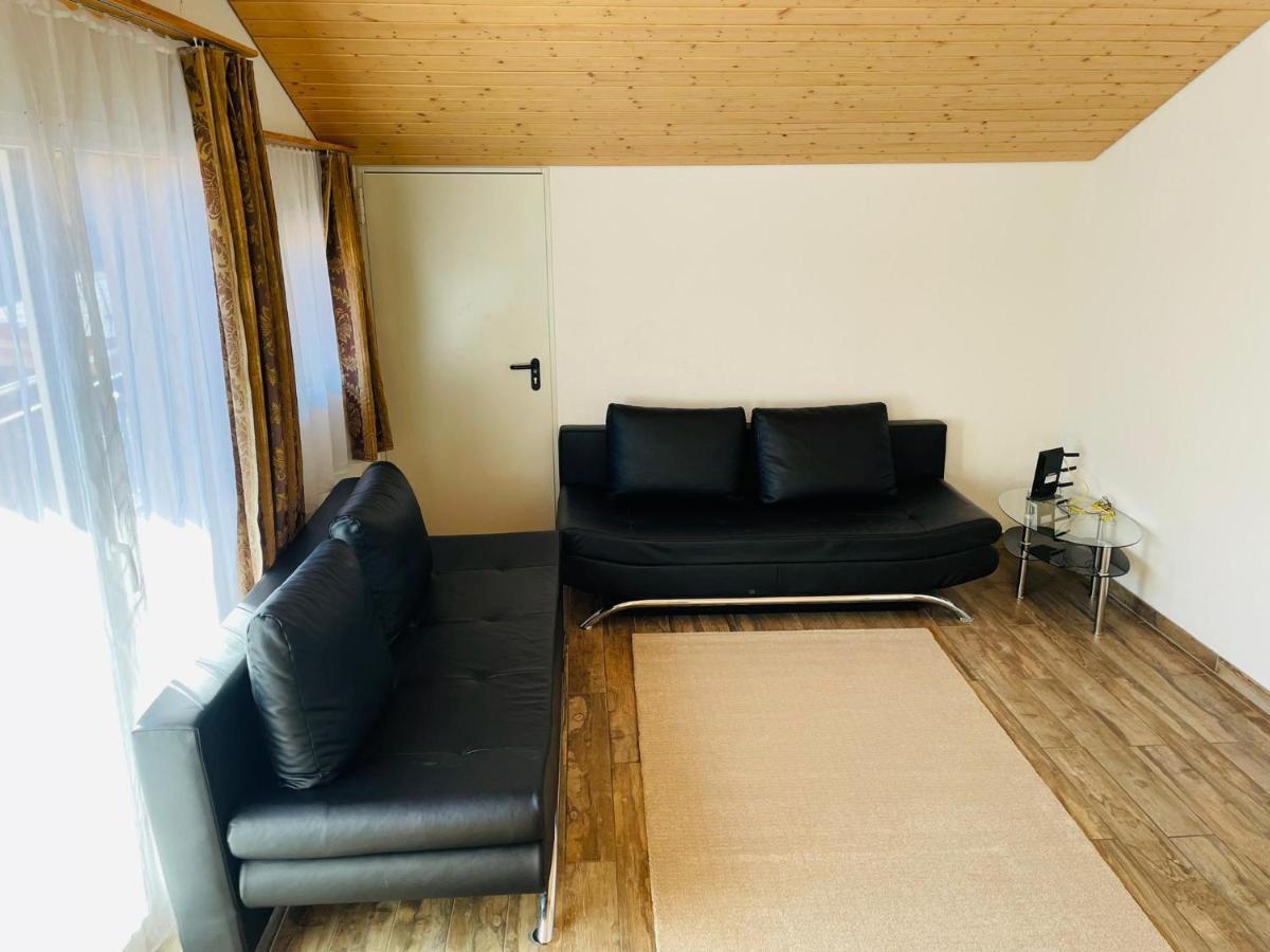 Swiss Chalet Holidays Ringgenberg Εξωτερικό φωτογραφία