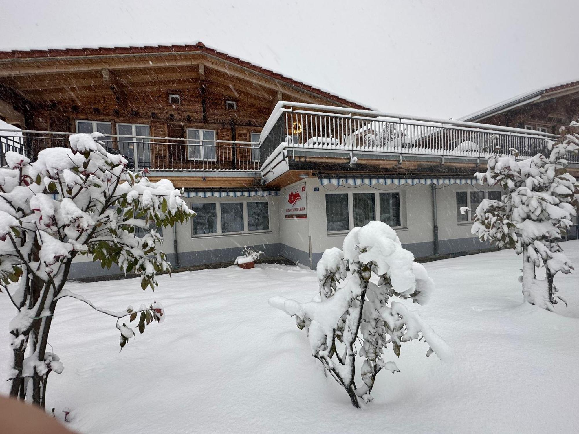 Swiss Chalet Holidays Ringgenberg Εξωτερικό φωτογραφία